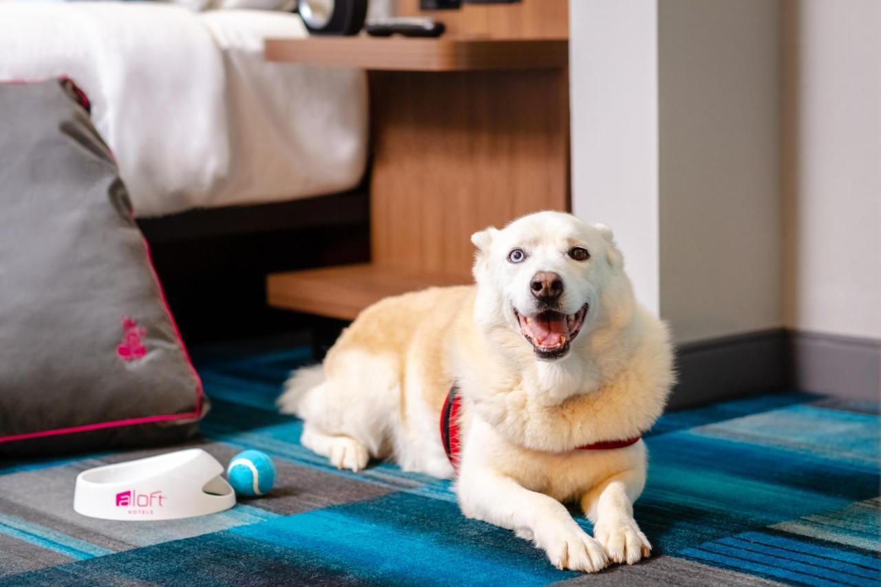 Aloft Hotel Calgary